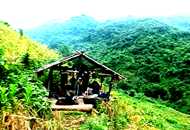 Travel The Road - This is where we slept in the jungle