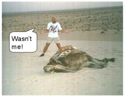 By faith Cartoons. Camel.