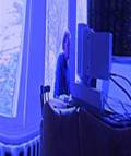 Christian Youth Interactive Revival