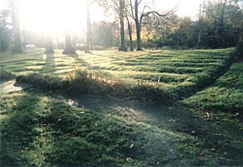 Sketty Isaf Estate